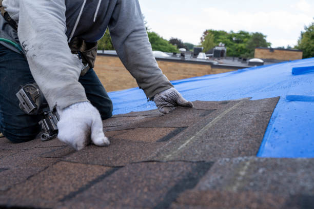 Best Roof Restoration Services  in Lynchburg, VA