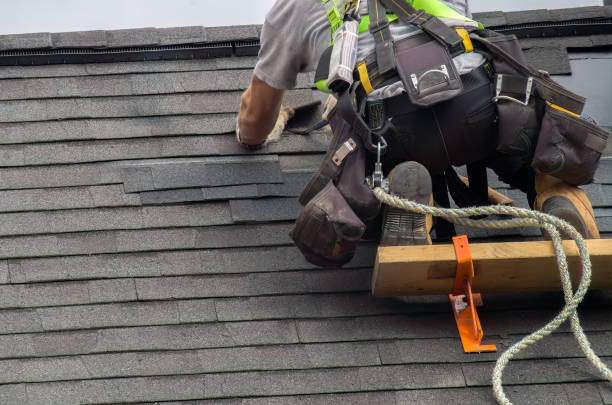 Best Roof Maintenance Services  in Lynchburg, VA